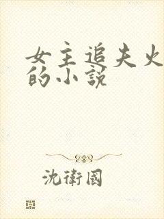 女主追夫火葬场的小说