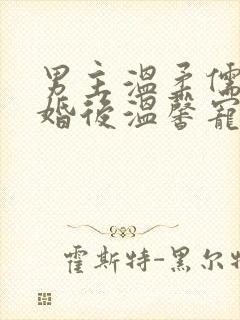 男主温柔儒雅的婚后温馨宠文