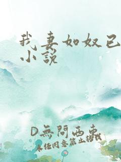 我妻如奴已完结小说