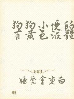 狗狗小便的地方有黄色液体怎么办