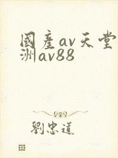 国产av天堂亚洲av88