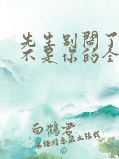 先生别闹了新娘不是你的全集免费观看