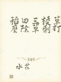 稻田三棱草用什么除草剂打?