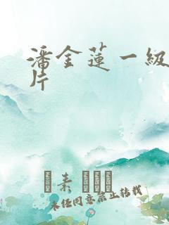 潘金莲一级肉体片