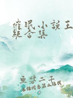 催眠小说王鹏系统合集