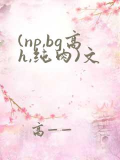 (np,bg高h,纯肉)文
