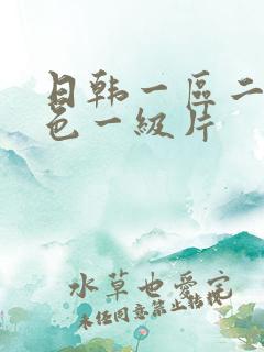 日韩一区二区黄色一级片