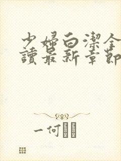 少妇白洁全文阅读最新章节