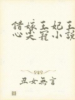 错嫁王妃王爷的心尖宠小说