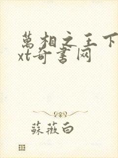 万相之王下载txt奇书网