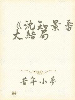 《沈知景番外》大结局