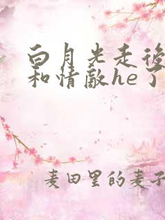 白月光走后,我和情敌he了