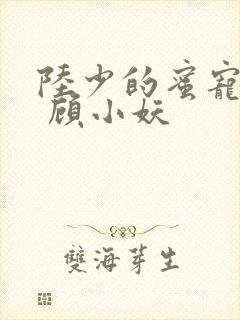 陆少的蜜宠甜妻 顾小妖