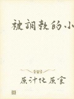被调教的小母狗