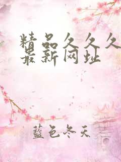 精品久久久久久最新网址