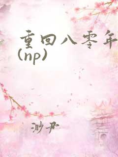 重回八零年代文(np)
