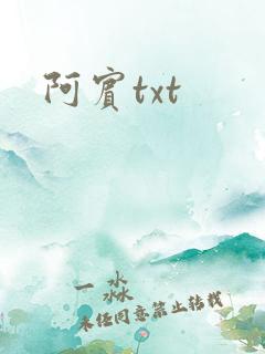 阿宾txt