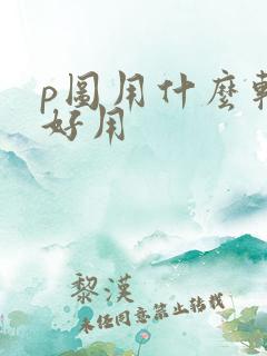 p图用什么软件好用