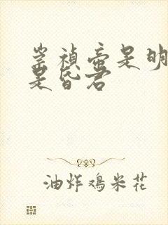 崇祯帝是明君还是昏君
