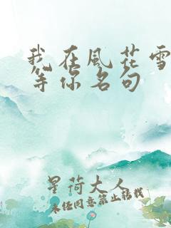 我在风花雪月里等你名句
