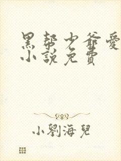 黑帮少爷爱上我小说免费