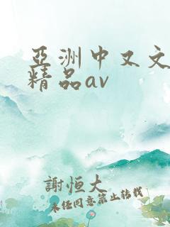 亚洲中又文字幕精品av