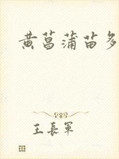 黄菖蒲苗多少钱