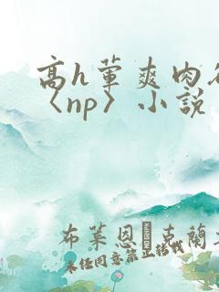 高h荤爽肉欲文〈np〉小说