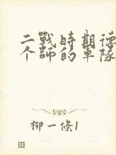 二战时期德国一个师的军队