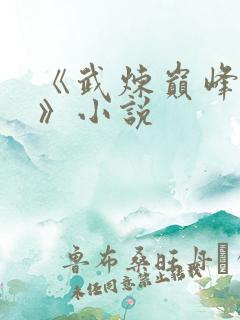 《武炼巅峰杨开》小说