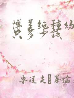 博美纯种幼犬一只多少钱
