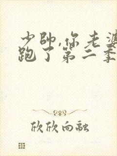 少帅,你老婆又跑了第二季