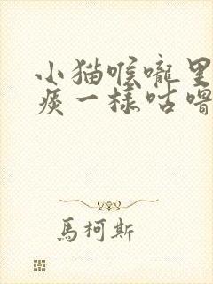 小猫喉咙里面有痰一样咕噜咕噜的声音