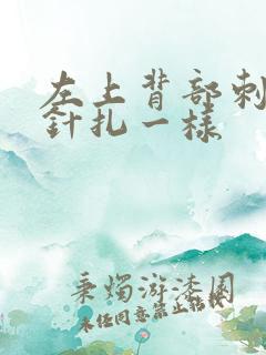 左上背部刺痛感针扎一样