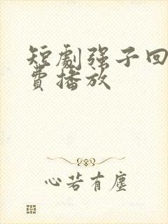 短剧强子回乡免费播放