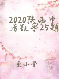 2020陕西中考数学25题分析