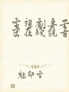电视剧妻子的秘密在线观看