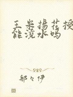 玉米扬花授粉期能浇水吗