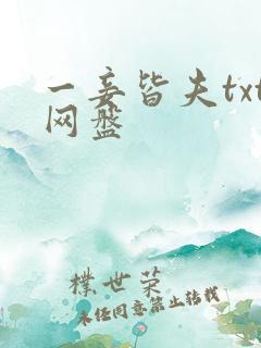 一妾皆夫txt网盘