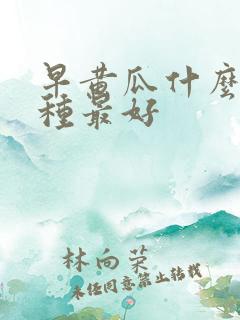 早黄瓜什么时间种最好