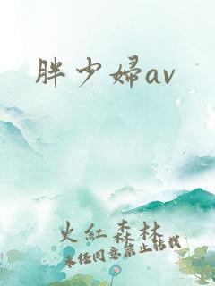 胖少妇av
