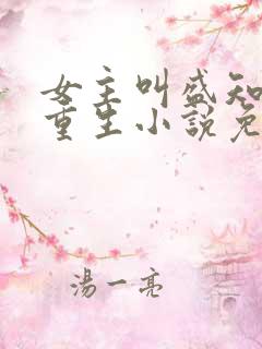 女主叫盛知婉的重生小说免费阅读 女主叫盛知婉的重生小说免费阅读