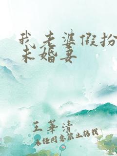 我老婆假扮兄弟未婚妻
