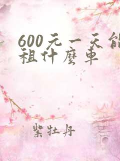 600元一天能租什么车