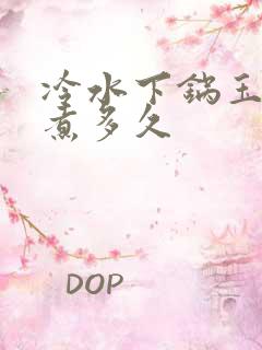 冷水下锅玉米要煮多久
