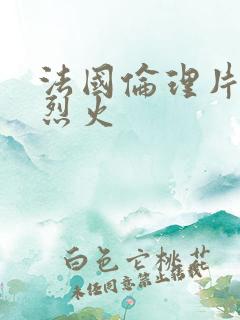 法国伦理片干柴烈火