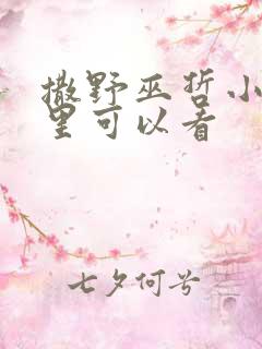 撒野巫哲小说那里可以看