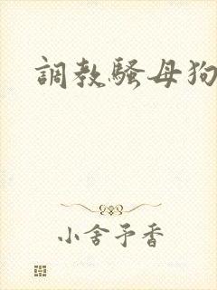 调教骚母狗合集