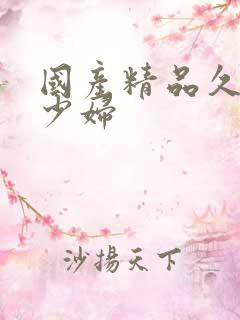 国产精品久久久少妇