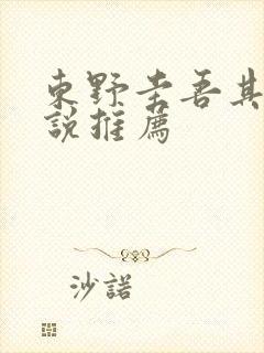 东野圭吾其他小说推荐